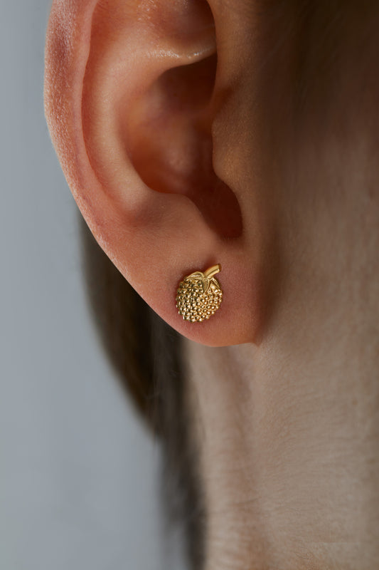 Raspberry Earrings